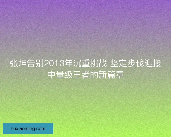 张坤告别2013年沉重挑战 坚定步伐迎接中量级王者的新篇章